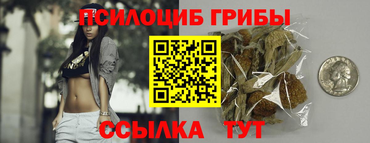 Шали  Галлюциногенные грибы мухоморы  Вход с VPN  Галлюциногенные грибы GOLDEN TEACHER 