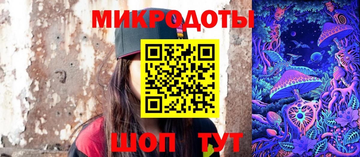 Псилоцибиновые грибы Psilocybe Шали